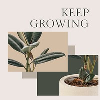 Keep growing inspirational quote minimal plant social media post