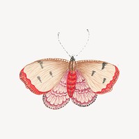 Vintage butterfly sticker, aesthetic animal illustration vector