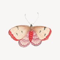 Vintage butterfly sticker, aesthetic animal illustration psd