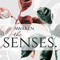 Leaf aesthetic Instagram post template, awaken the senses quote vector