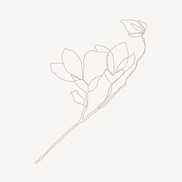 Magnolia flower line art illustration vector