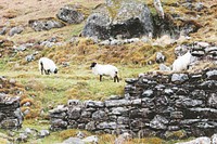 Lough Dan. Original public domain image from Wikimedia Commons