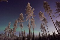 Lapland, Finland. Original public domain image from Wikimedia Commons