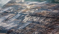 Looking into the water at textured wood underneath the surface. Original public domain image from <a href="https://commons.wikimedia.org/wiki/File:Submerged_wood_texture_(Unsplash).jpg" target="_blank" rel="noopener noreferrer nofollow">Wikimedia Commons</a>