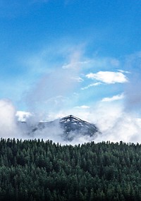 Clouds rising up from a snowy mountain peak over a spruce forest in Tusheti Nature Reserve. Original public domain image from Wikimedia Commons