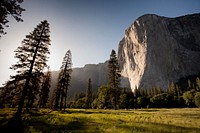 The sunlit face of El Capitan in Yosemite surrounded by evergreen trees. Original public domain image from <a href="https://commons.wikimedia.org/wiki/File:El_Capitan_on_a_sunny_afternoon_(Unsplash).jpg" target="_blank" rel="noopener noreferrer nofollow">Wikimedia Commons</a>