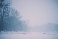 A pale shot of a herd of deers silhouetted against the snow-covered ground. Original public domain image from <a href="https://commons.wikimedia.org/wiki/File:Deer_herd_on_a_winter%27s_day_(Unsplash).jpg" target="_blank" rel="noopener noreferrer nofollow">Wikimedia Commons</a>