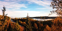 Autumn pine forest background. Original public domain image from <a href="https://commons.wikimedia.org/wiki/File:Ewa_Stepkowska_2015_(Unsplash).jpg" target="_blank">Wikimedia Commons</a>
