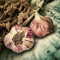 Bulbs of garlic and dried herbs on a table. Original public domain image from Wikimedia Commons