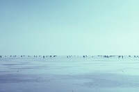Frozen Lake Balaton. Original public domain image from Wikimedia Commons
