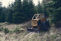 Bulldozer does construction taking down trees in the forest. Original public domain image from Wikimedia Commons