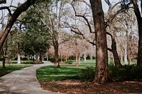 A path in Forsyth Park surrounded by trees and grass. Original public domain image from Wikimedia Commons