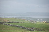 Rocky fences line green pastures in Cliffs of Moher. Original public domain image from Wikimedia Commons