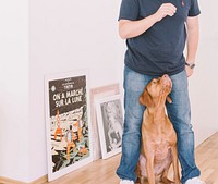 Man in jeans and navy t shirt standing in white room with brown dog and artwork. Original public domain image from <a href="https://commons.wikimedia.org/wiki/File:Man_holds_treat_over_dog_(Unsplash).jpg" target="_blank" rel="noopener noreferrer nofollow">Wikimedia Commons</a>