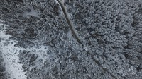 Country road winds through a snowy forest landscape. Original public domain image from Wikimedia Commons