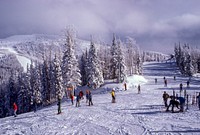 Tourists skiing down a snowy slope surrounded by evergreen woods. Original public domain image from <a href="https://commons.wikimedia.org/wiki/File:Skiing_between_the_snow-topped_trees_(Unsplash).jpg" target="_blank" rel="noopener noreferrer nofollow">Wikimedia Commons</a>
