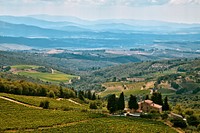 A panoramic shot of a vineyard estate overlooking hills in the distance.. Original public domain image from <a href="https://commons.wikimedia.org/wiki/File:Castellina_In_Chianti_(Unsplash).jpg" target="_blank" rel="noopener noreferrer nofollow">Wikimedia Commons</a>
