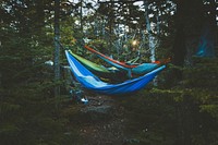Several hammocks hanging on trees in a campsite. Original public domain image from <a href="https://commons.wikimedia.org/wiki/File:Campsite_hammocks_(Unsplash).jpg" target="_blank" rel="noopener noreferrer nofollow">Wikimedia Commons</a>