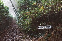 Sign that reads "path to jetty" points down a trail covered in autumn leaves. Original public domain image from Wikimedia Commons
