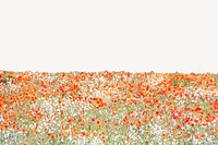 Flower field collage element, beautiful scenery psd