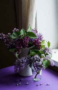 Two vases full of lilac flowers on a table near a windowsill. Original public domain image from <a href="https://commons.wikimedia.org/wiki/File:Fragrant_lilac_by_a_windowsill_(Unsplash).jpg" target="_blank" rel="noopener noreferrer nofollow">Wikimedia Commons</a>