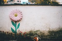 A pink daisy painted on a concrete wall. Original public domain image from Wikimedia Commons