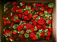 Box of fresh red strawberries ready to eat. Original public domain image from <a href="https://commons.wikimedia.org/wiki/File:Box_of_Strawberries_(Unsplash).jpg" target="_blank" rel="noopener noreferrer nofollow">Wikimedia Commons</a>
