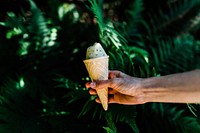 Ice cream in the forest. Original public domain image from Wikimedia Commons