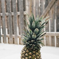 A pineapple on top of snow.. Original public domain image from <a href="https://commons.wikimedia.org/wiki/File:Pineapple_and_snow_(Unsplash).jpg" target="_blank" rel="noopener noreferrer nofollow">Wikimedia Commons</a>