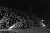 A dark black and white shot of a forest with snow-covered trees and spotlights. Original public domain image from <a href="https://commons.wikimedia.org/wiki/File:Spotlights_in_forest_(Unsplash).jpg" target="_blank" rel="noopener noreferrer nofollow">Wikimedia Commons</a>