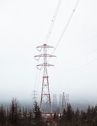 Powerlines amid a pine forest on a foggy winter day. Original public domain image from <a href="https://commons.wikimedia.org/wiki/File:The_Stand_Out_(Unsplash).jpg" target="_blank" rel="noopener noreferrer nofollow">Wikimedia Commons</a>