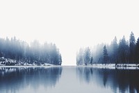 Foggy lake border, pine forest in Winter psd