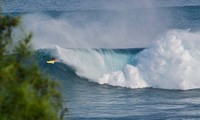 A person surfing on a yellow surfboard, catching a massive wave in Jaws. Original public domain image from <a href="https://commons.wikimedia.org/wiki/File:JAWS_(Unsplash).jpg" target="_blank" rel="noopener noreferrer nofollow">Wikimedia Commons</a>