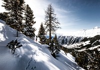 Downward slope of snow with several trees and mountains. Original public domain image from <a href="https://commons.wikimedia.org/wiki/File:Icy_Slope_With_Trees_(Unsplash).jpg" target="_blank" rel="noopener noreferrer nofollow">Wikimedia Commons</a>