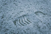 A footprint on a light layer of snow in the grass. Original public domain image from <a href="https://commons.wikimedia.org/wiki/File:A_footprint_in_the_snow_(Unsplash).jpg" target="_blank" rel="noopener noreferrer nofollow">Wikimedia Commons</a>