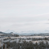 A cloudy sky above a snowy evergreen forest with mountains barely visible at the horizon. Original public domain image from Wikimedia Commons