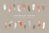 Watercolor lightweight feather collection vectors
