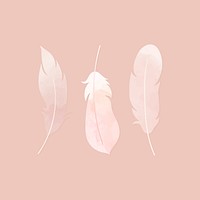 Pink watercolor lightweight feather collection vectors