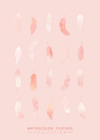Pink watercolor lightweight feather collection vectors