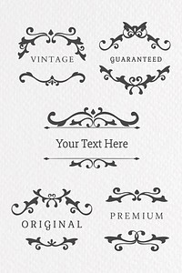 Vintage black ornamental frame collection vector in textured background