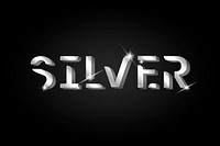 Silver shiny metallic typography vector