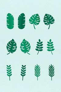 Green tropical leaves on light blue background vector collection