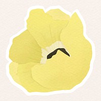 Yellow poppy flower sticker vector
