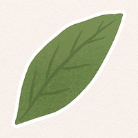 Green leaf sticker vector