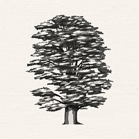 Hand drawn cedar of Lebanon in gray vector