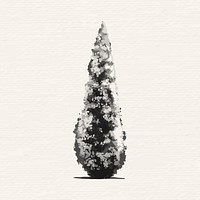Hand drawn conical tree in gray vector