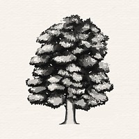 Hand drawn walnut grayscale vector