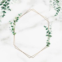 Hand drawn eucalyptus leaf with hexagon gold frame vector