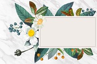 Rectangle frame on a marble background vector
