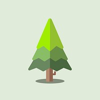 Green  botany pine tree vector